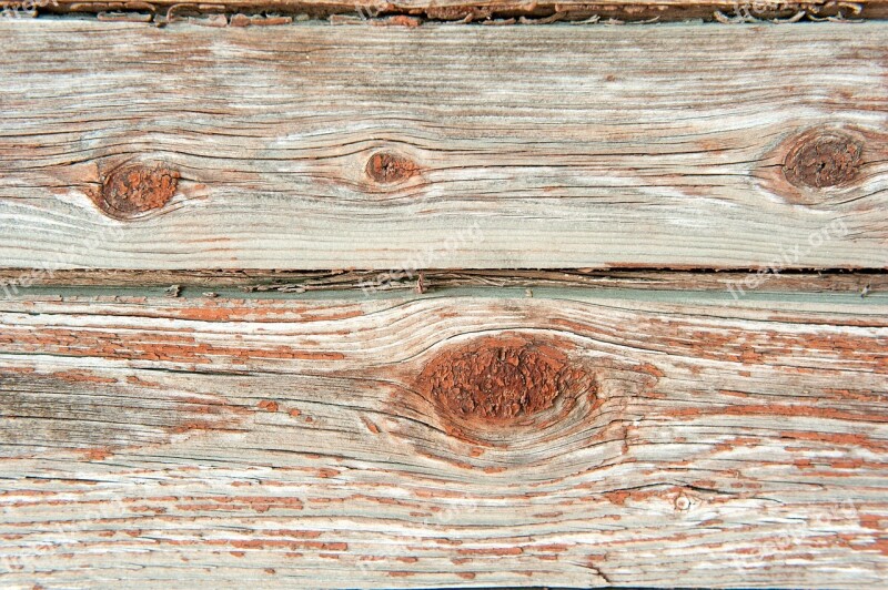 Old Tree Orange Boards Brown Texture