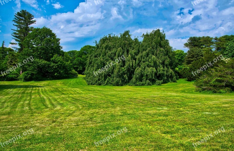 Arboretum Landscape Open Field Summer Free Photos