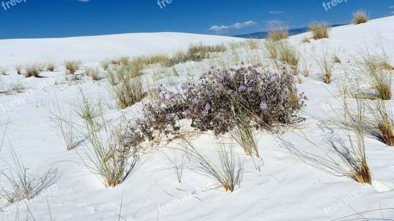 Sands Dunes Gypsum Nature Landscape