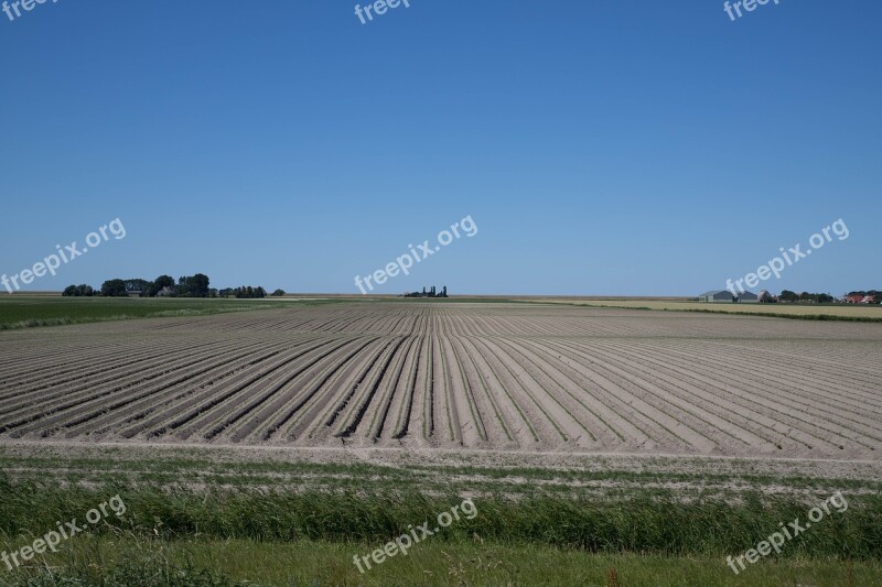 Country Field Cultivation Food Vegetable