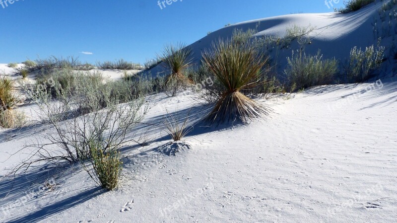 Nature Dunes Desert Sand Landscape