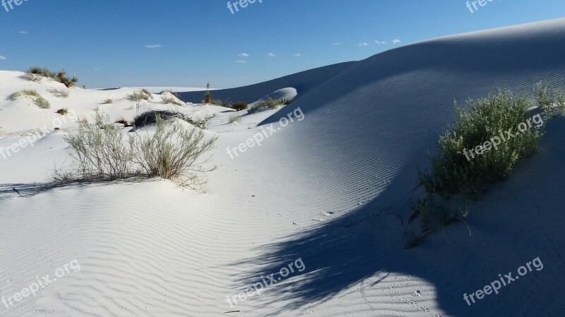 Nature Dune Sand Landscape Desert