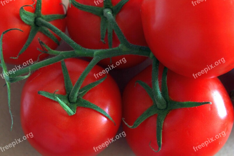 Tomatoes Food Eat Plant Recipe