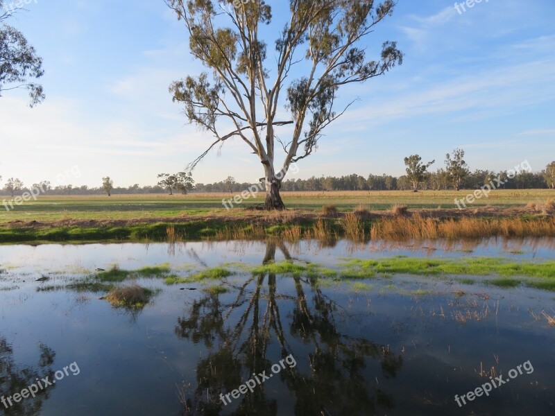 Reflection Water Tree Farm Australia