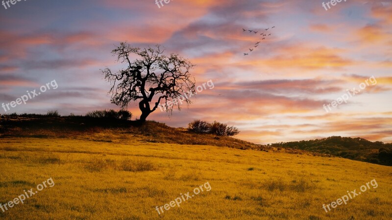 Sunset Cloud Warm Hillside Grassland