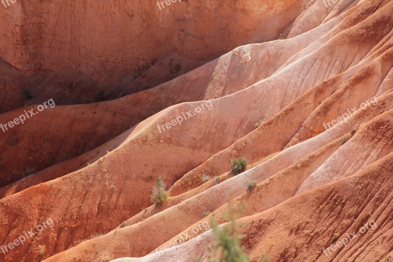 Usa Bryce Canyon Nature Orange Utha