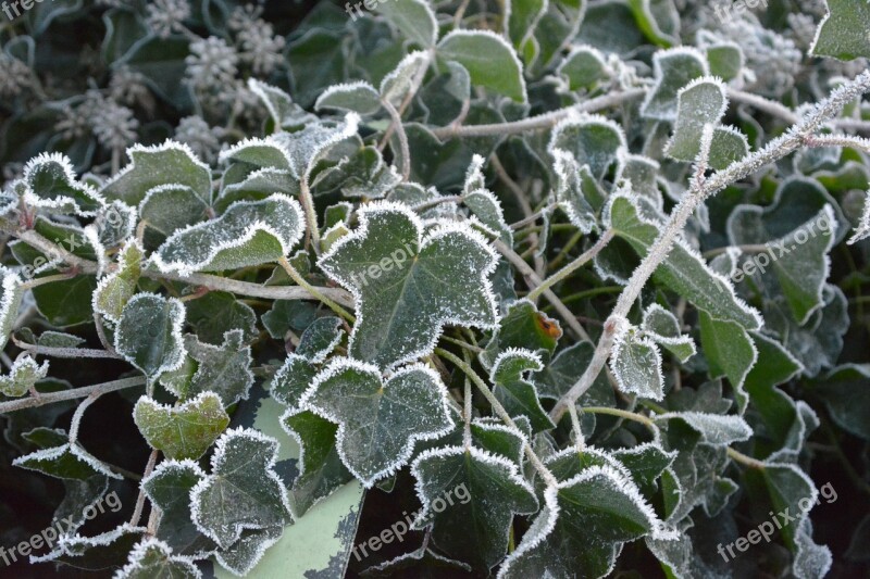 Winter Freezing Frozen Nature Crystals