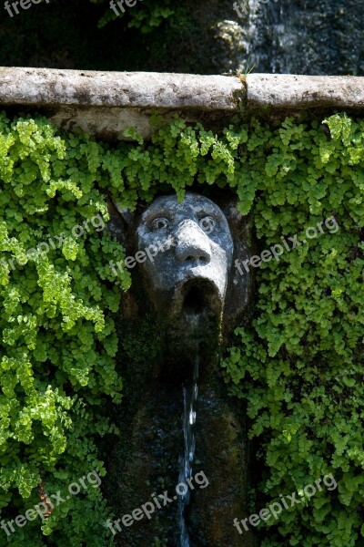 Fountain Person Head Water Flowing