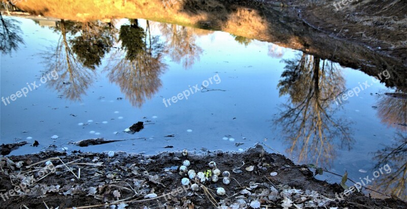 Golf Balls At The Lake Water Mirroring Reflection Sky