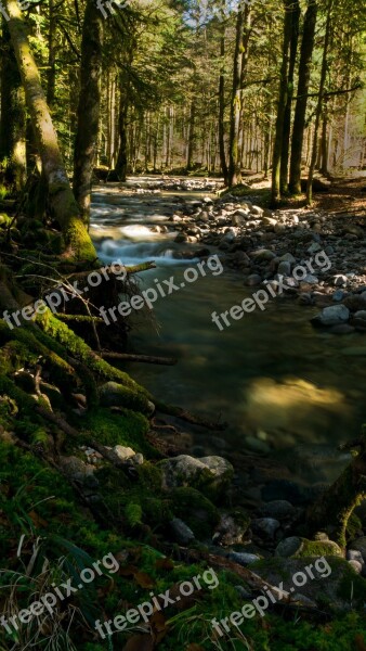 Creek Vosges Nature Landscape Mountains