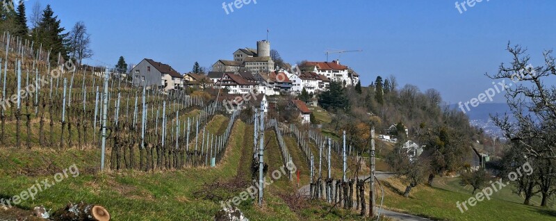 Landscape Switzerland Rain Mountain Winegrowing Vines