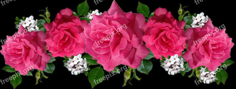 Roses Pink Flowers Daphne Arrangement