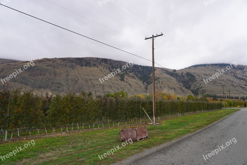 Wine Wine Making Osoyoos Vineyard Grapes