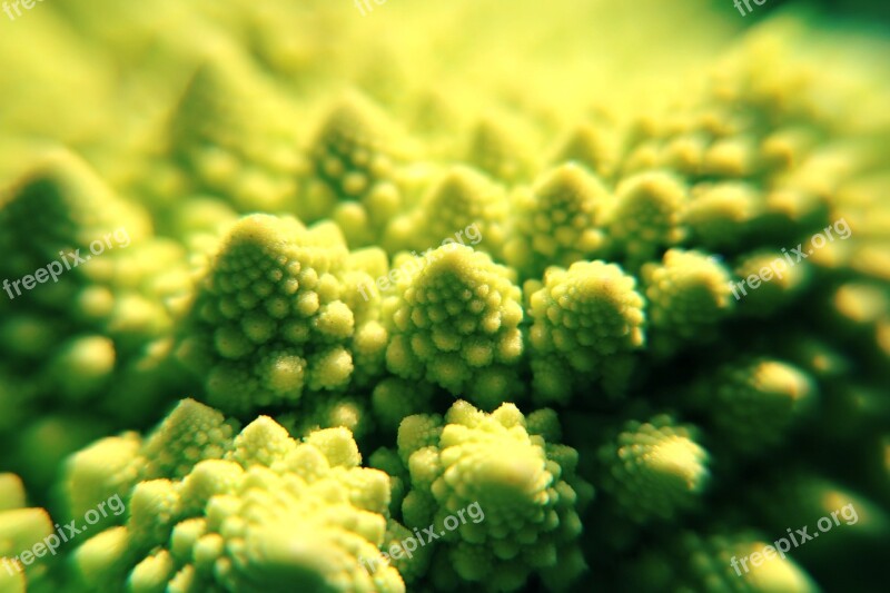 Romanesco Cauliflower Vegetables Eat Healthy