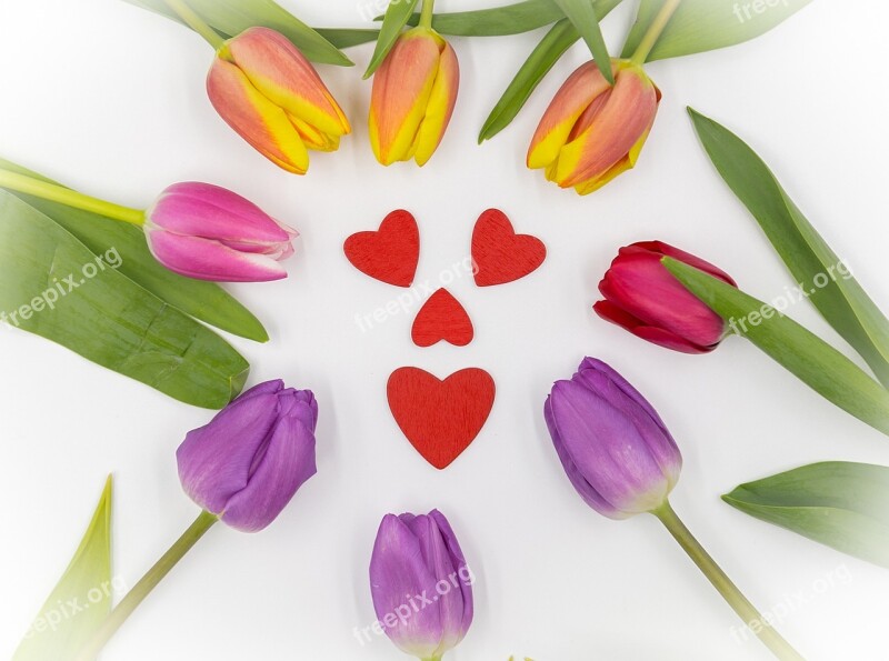 Tulips Tulips Heart Spring Decoration Mother's Day