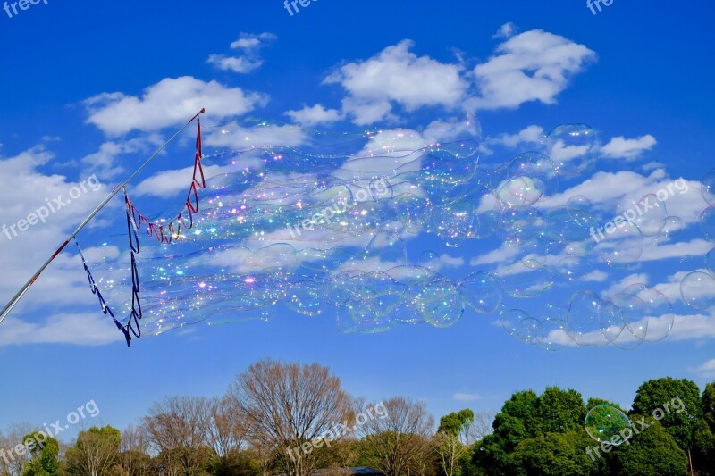 Soap Bubble Blue Sky Fine Weather Park Lightning