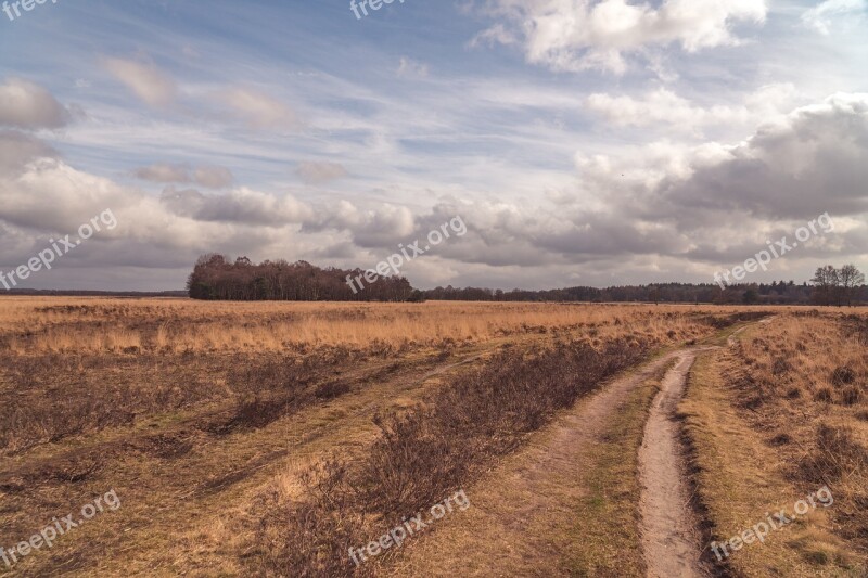 Clouds Landscape Field Trees Spring