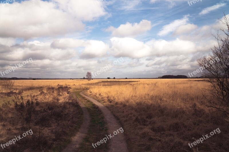 Clouds Landscape Field Trees Spring