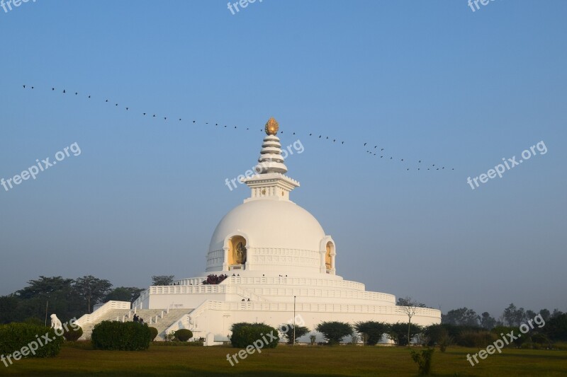 Stupa Bouddha Birds Sky Green