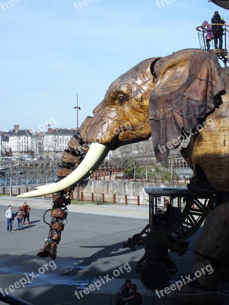 Nantes Sculpture Wood Attraction Free Photos