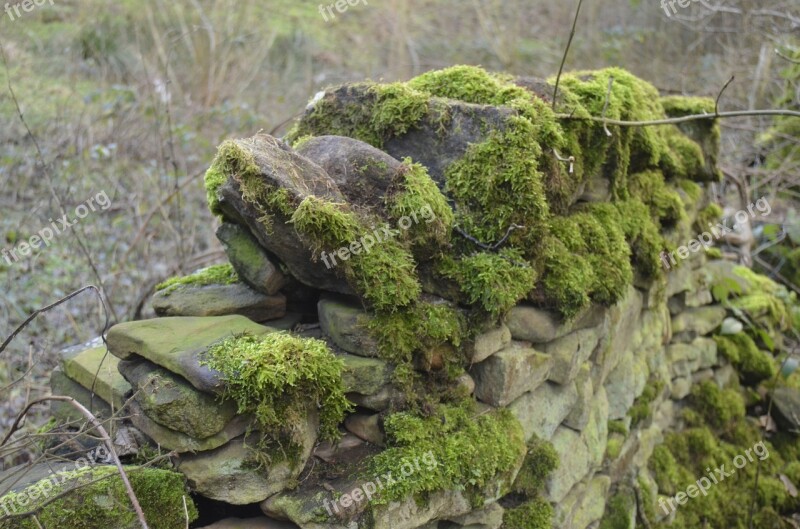 Moss Stone Wall Waterfall River