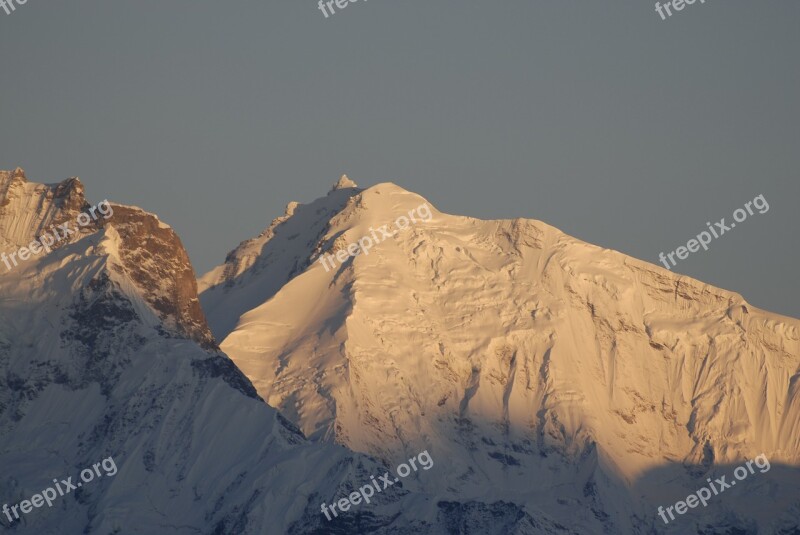 Nepal Langtang Himalaya Mountain Free Photos