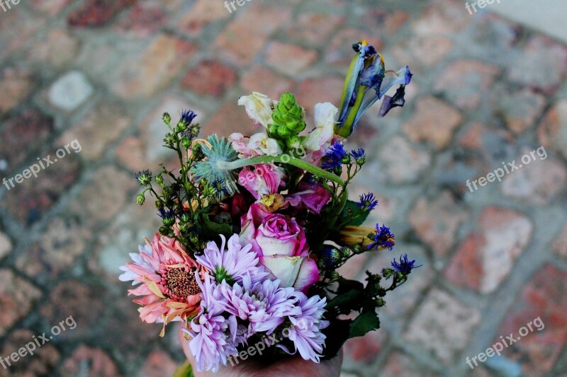 Flowers Bouquet Roses Wilting Bright