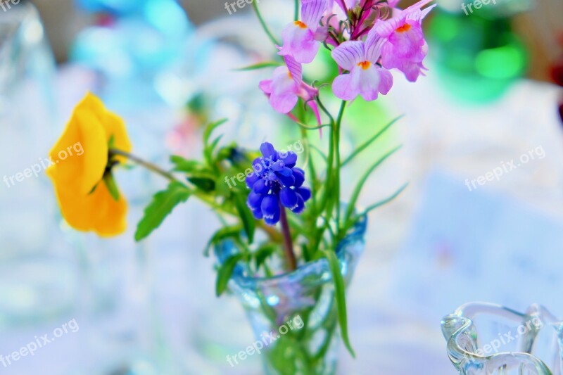 Flowers Grass Bottle Crystal Spring