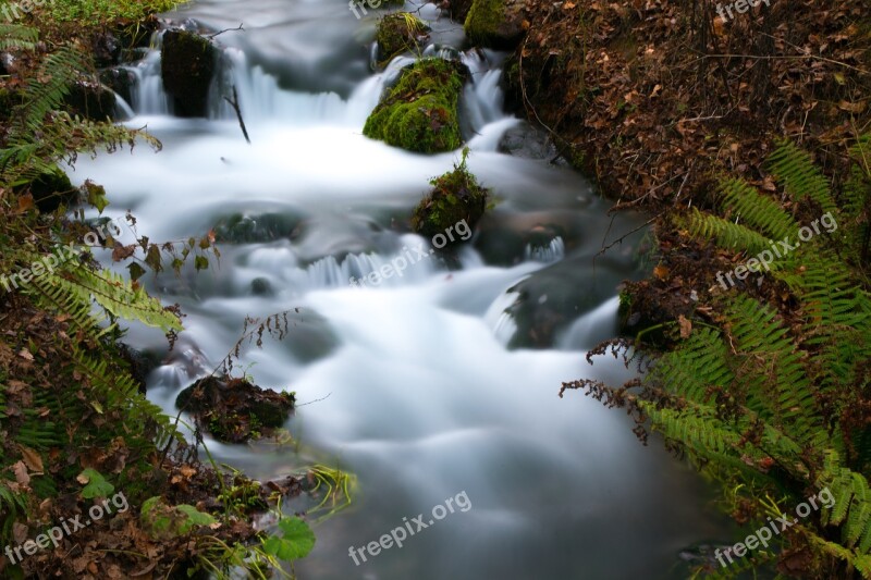 Waterfall Fall Water River Free Photos