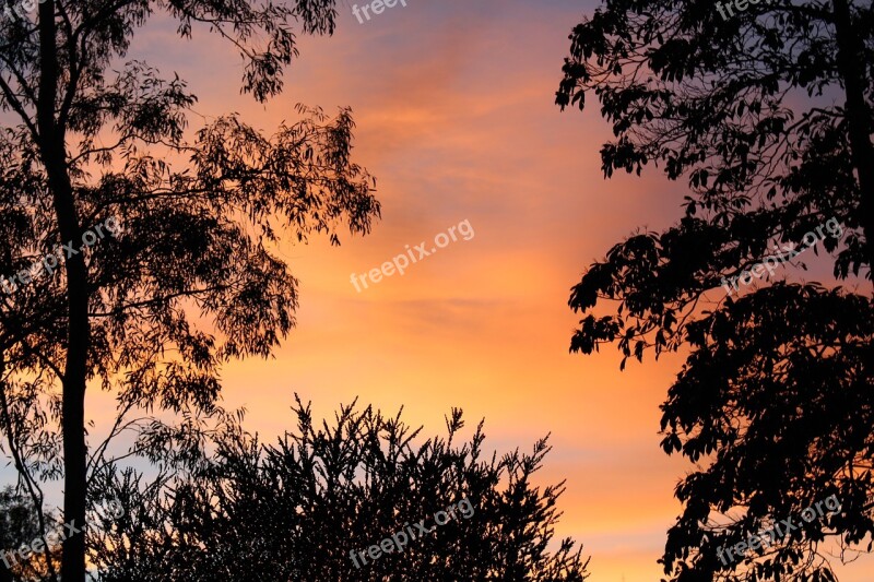 Sunrise Trees Silhouettes Orange Clouds