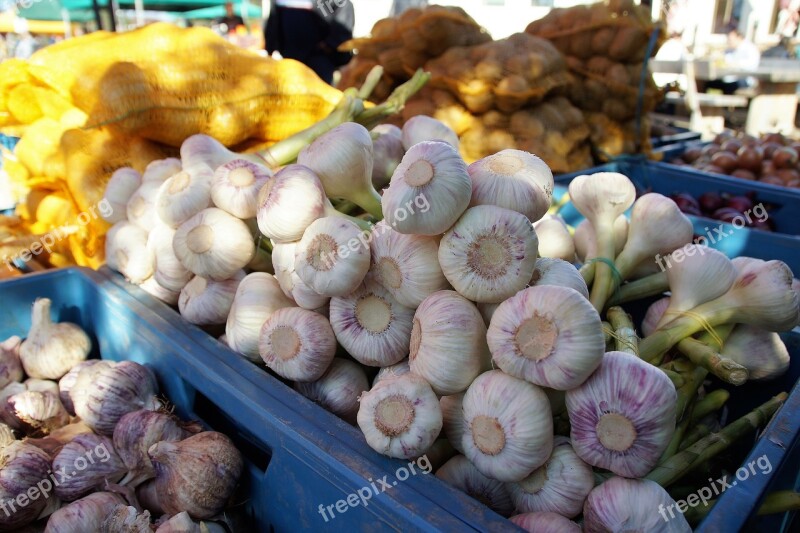 Market Vegetables Fresh Farmers Markets Sale