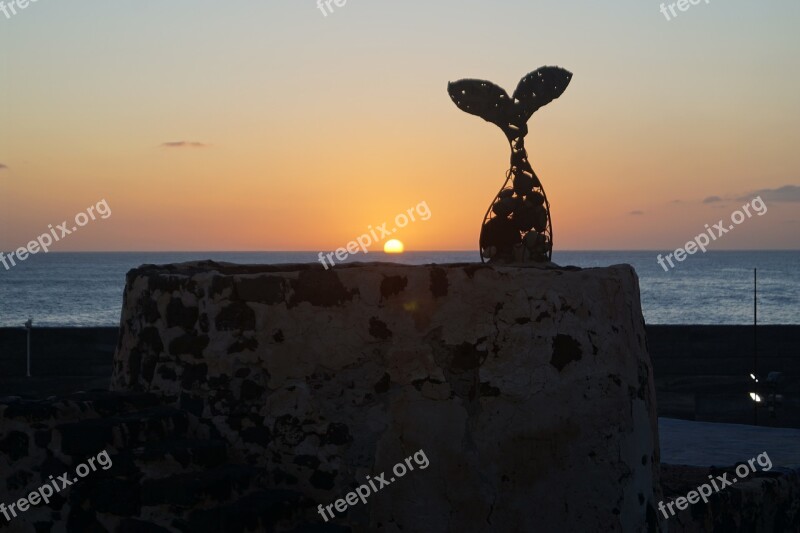 Sunset Nature Sunlight Tenerife Free Photos