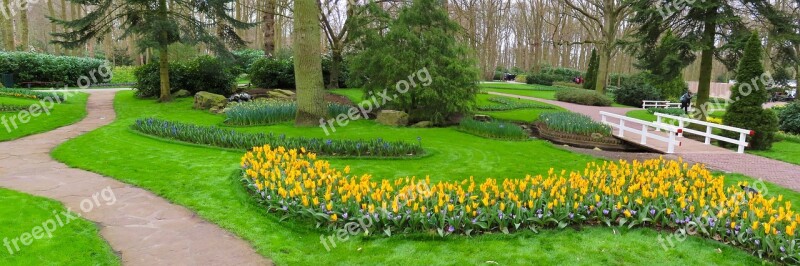 Landscape Nature Garden Park Meadow