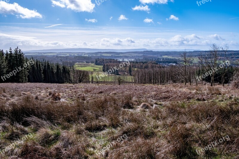 Scotland Trees Landscape Nature Sky