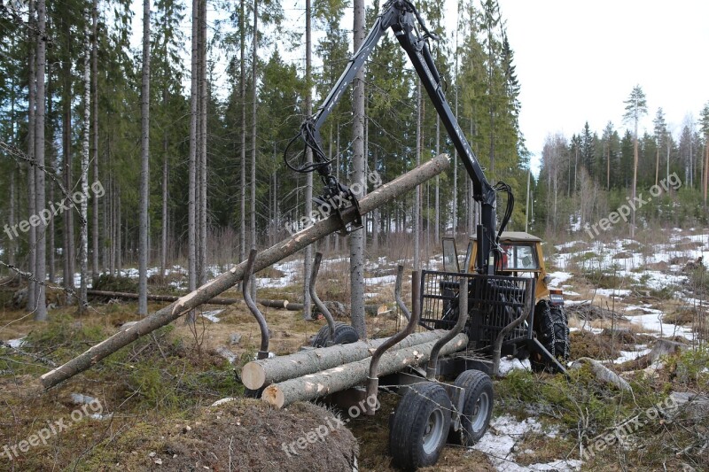 Forest Logging Tree Forest Cart Tractor