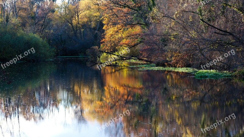 Fall Forest Water Romantic Nature