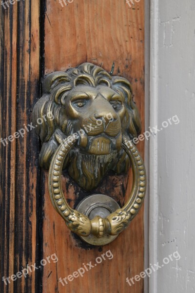 Lion Door Doorknocker Old Metal