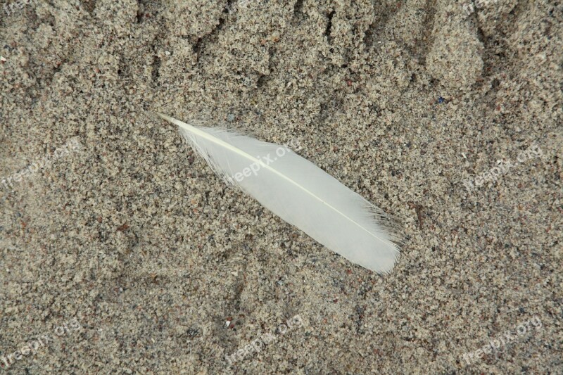 Feather Sand Beach Photo Book Background