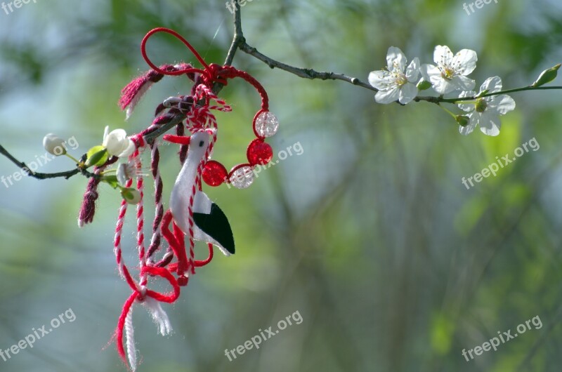 Branch The Beginning Of Spring Martiniza Harbinger Of Spring Frühlingsanfang