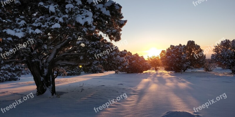 Snow Winter Cold Nature Landscape