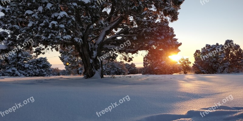 Snow Winter Cold Nature Landscape