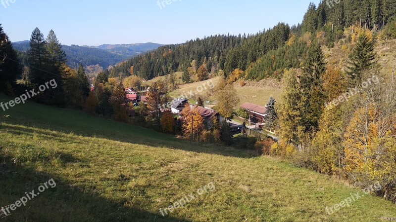 Wallachia Landscape Forest Autumn Sun