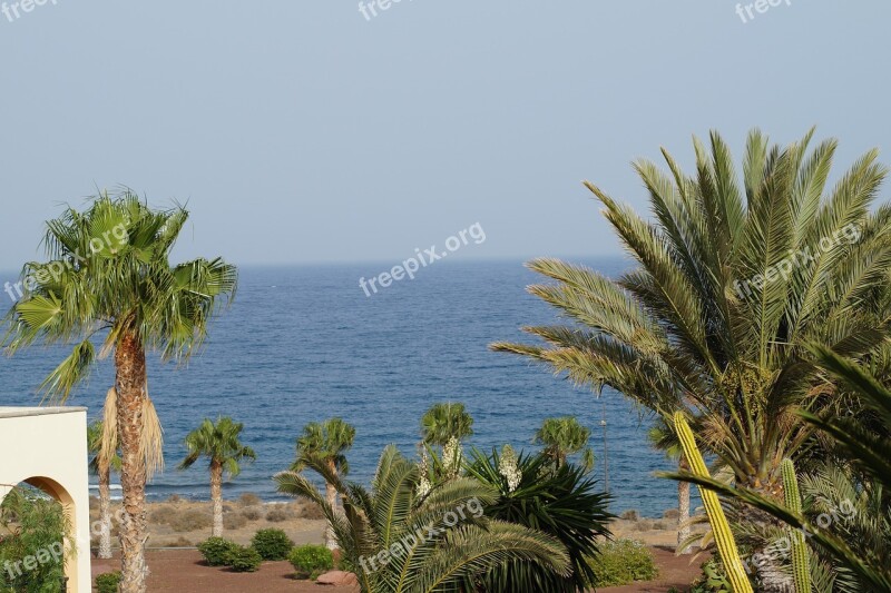 Palm Trees Sea Summer Tropical Holidays