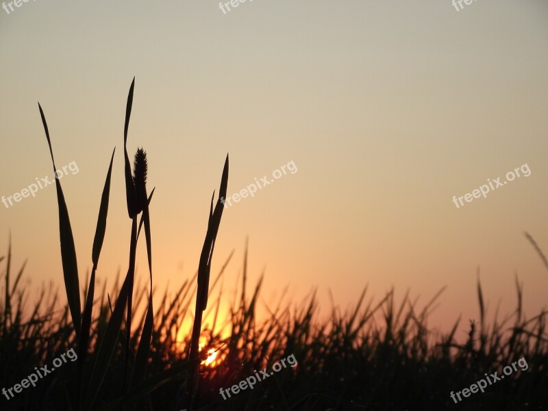 Sunrise Meadow Nature Landscape Sunset