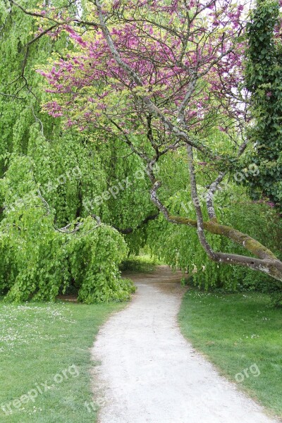 Garden Path Nature Gardening Park