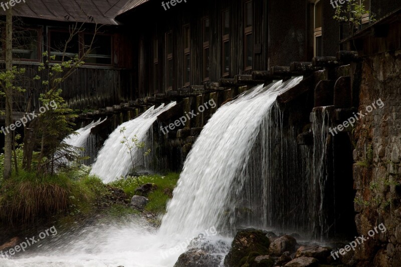 Waterfall Plant Water Nature Free Photos