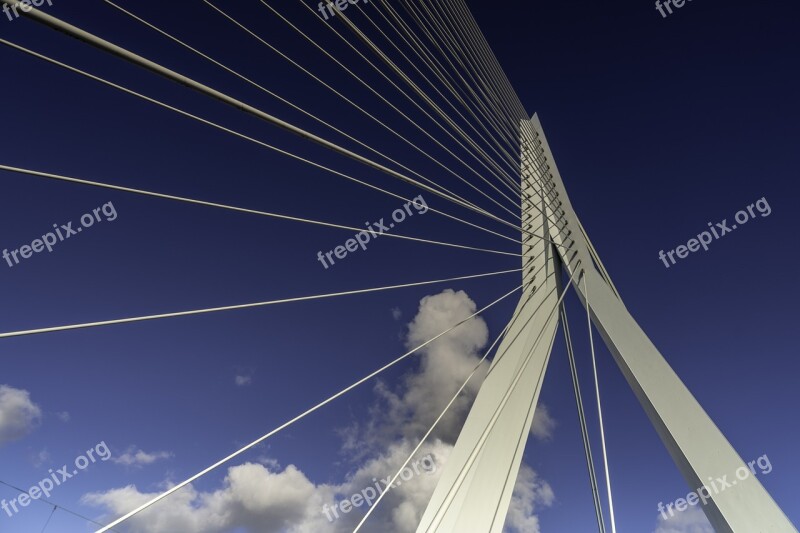 Rotterdam Erasmus Bridge Netherlands Architecture Modern