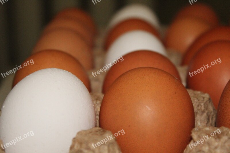 Eggs Chicken Egg Food Nutrition