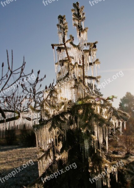 Ice Frost Nature Frosty Landscape