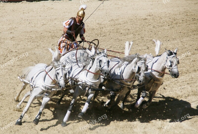 Roman Chariot Race Rome Colloseum Gladiator